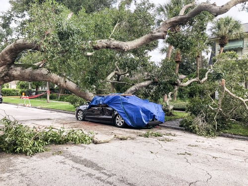Storm Damage to Your Roof: What to Do in the First 48 Hours